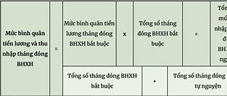 Cách Tính Hưởng Bảo Hiểm Xã Hội Tự Nguyện