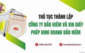 Điều Kiện Để Thành Lập Doanh Nghiệp Bảo Hiểm Nước Ngoài Tại Việt Nam